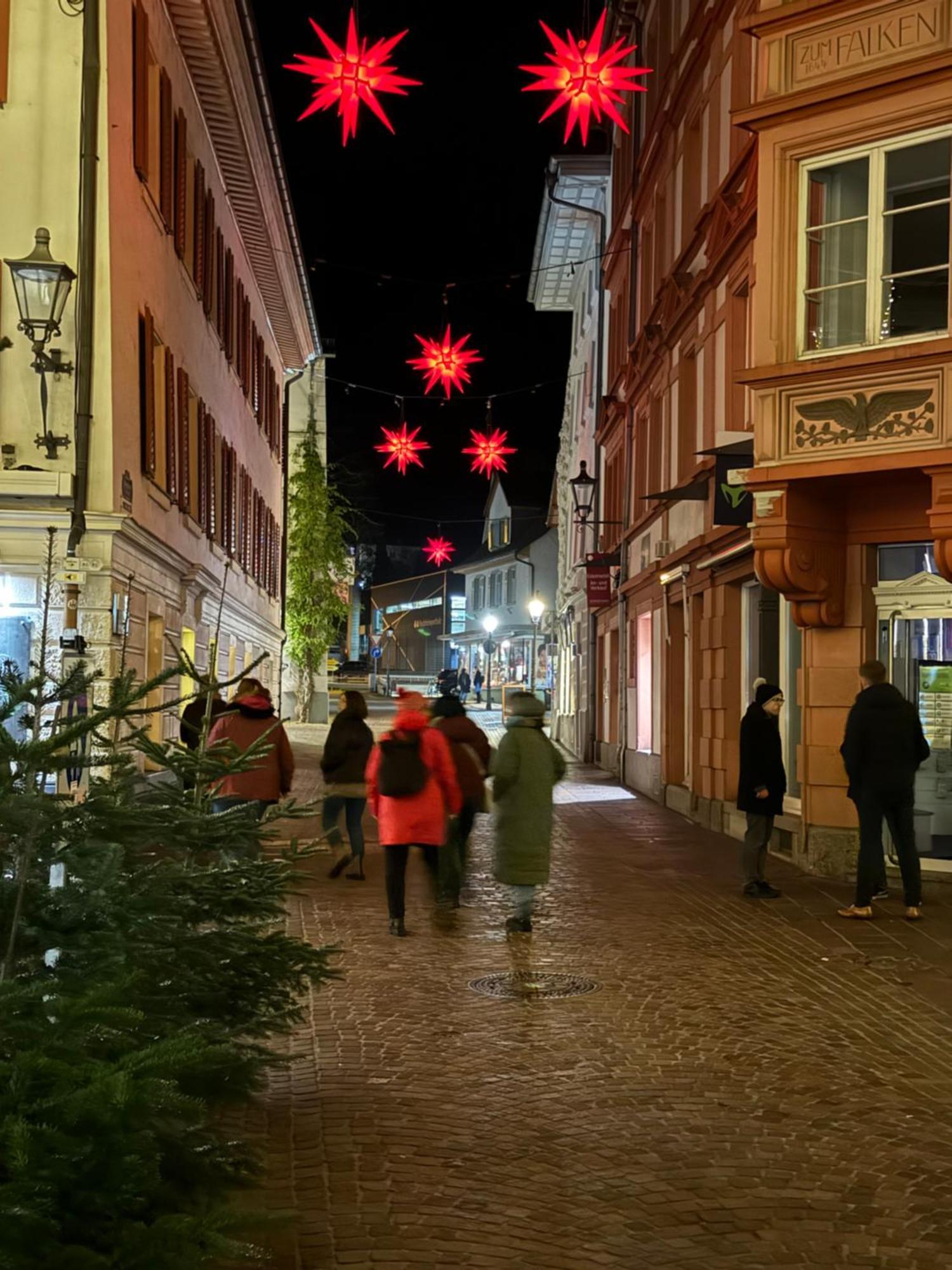 Waldshut -Kaiser55 Экстерьер фото