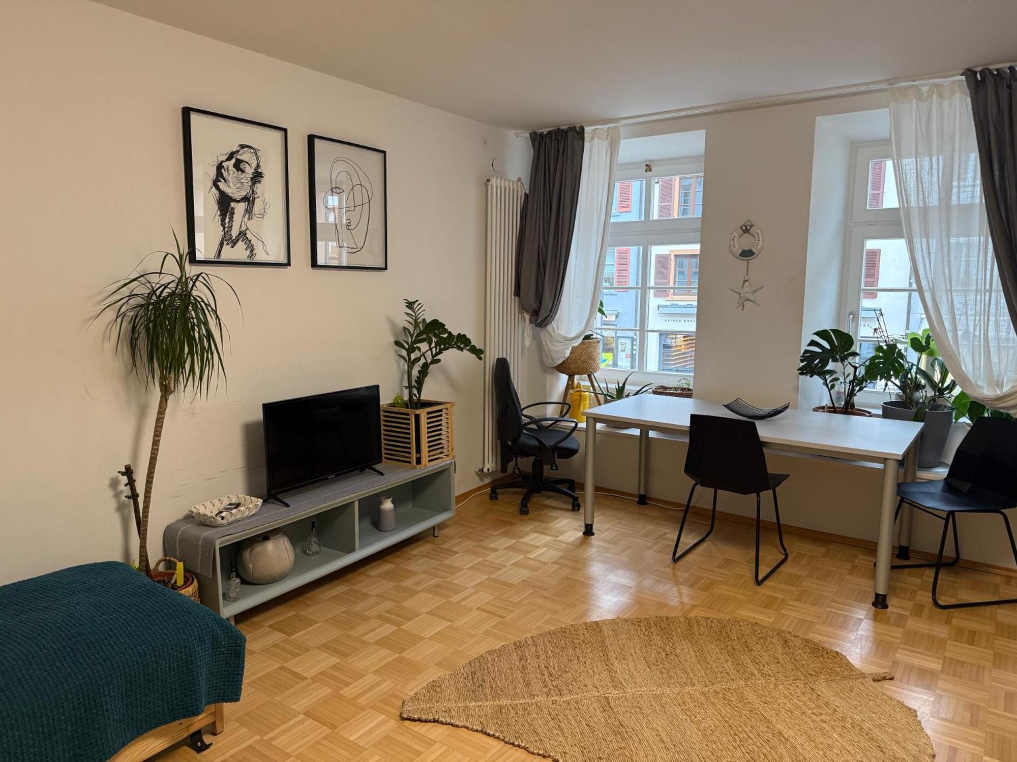 Waldshut -Kaiser55 Экстерьер фото